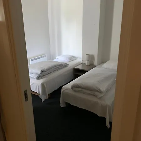 Skuldelev 3*