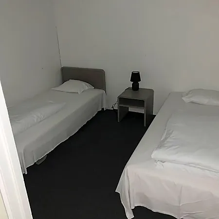 Skuldelev 3*